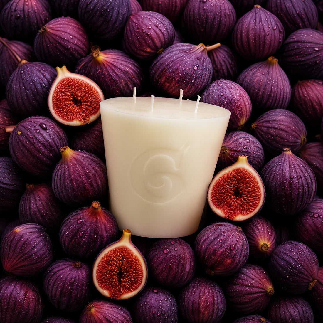 FIGUERES: Inspired By The Timeless Fig Tree