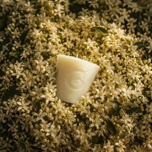 ZÂGARA: The Scent of Mediterranean Spring